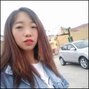 小猪导航 - 社交电商行业全国微信群二维码导航平台大全