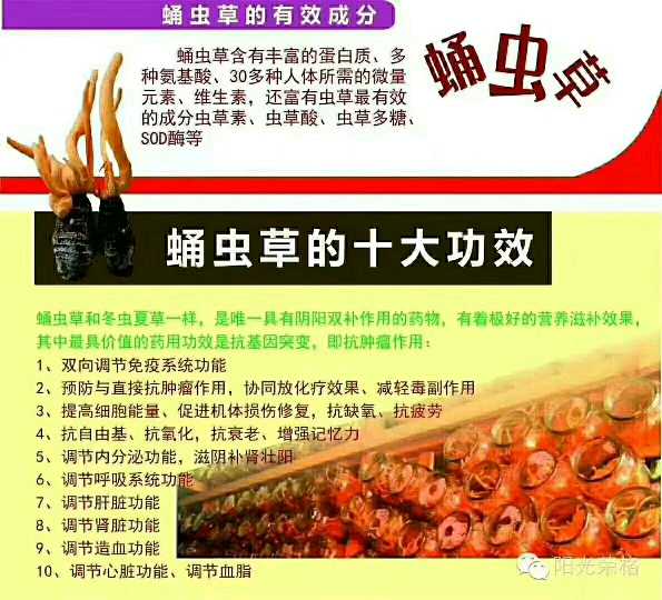 个人中心|话题 - 小猪导航 - 社交电商行业全国微信群二维码导航平台大全