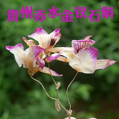 个人中心|话题 - 小猪导航 - 社交电商行业全国微信群二维码导航平台大全