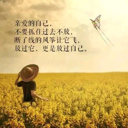个人中心|话题 - 小猪导航 - 社交电商行业全国微信群二维码导航平台大全