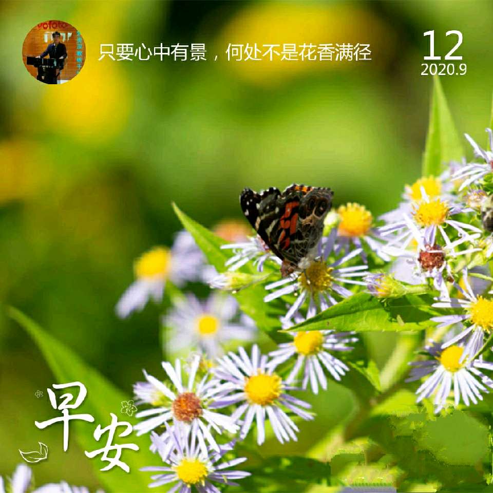 个人中心|话题 - 小猪导航 - 社交电商行业全国微信群二维码导航平台大全