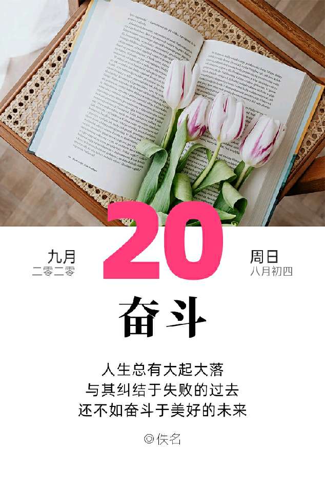 个人中心|话题 - 小猪导航 - 社交电商行业全国微信群二维码导航平台大全