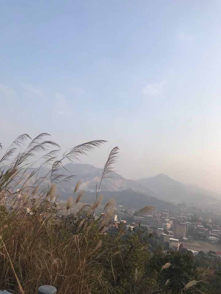 个人中心|话题 - 小猪导航 - 社交电商行业全国微信群二维码导航平台大全