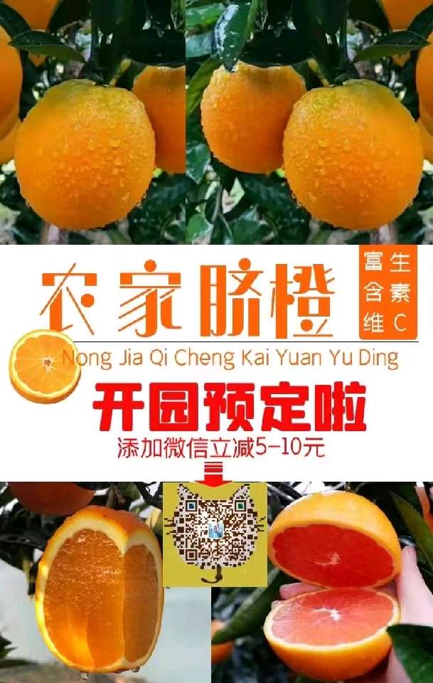 个人中心|话题 - 小猪导航 - 社交电商行业全国微信群二维码导航平台大全